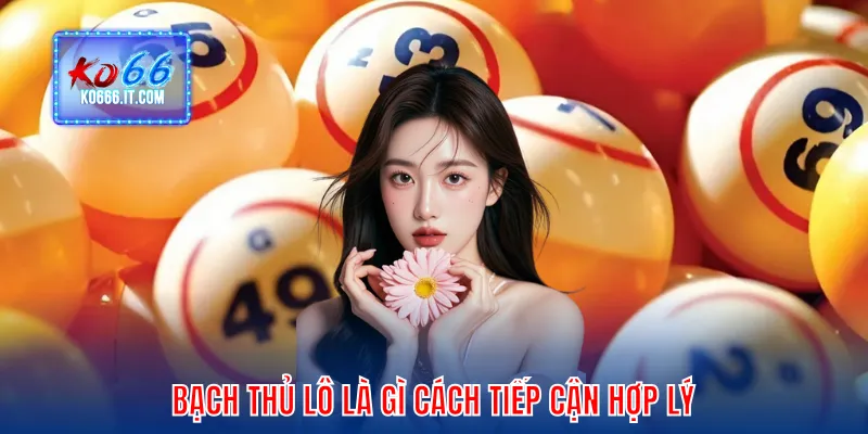 Bạch thủ lô là gì cách tiếp cận hợp lý