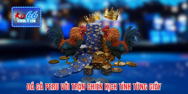 Đá gà Peru với trận chiến kịch tính từng giây